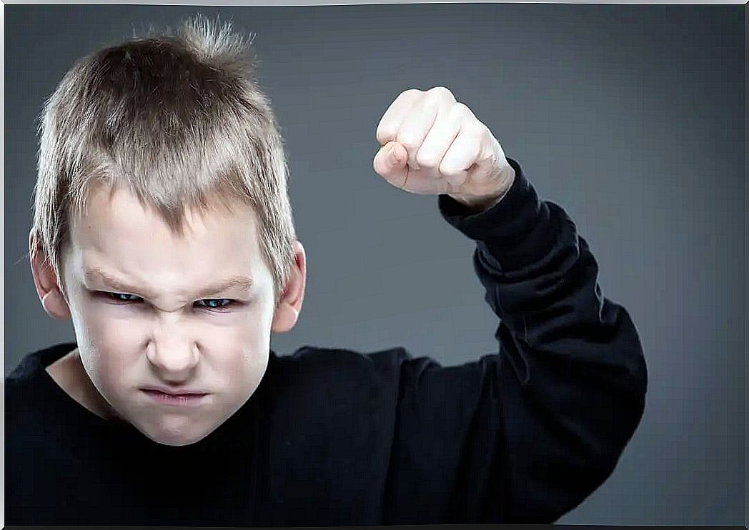 Child with raised fist ready to hit because it has become aggressive.