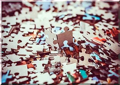 Puzzles Develop Visuospatial Intelligence