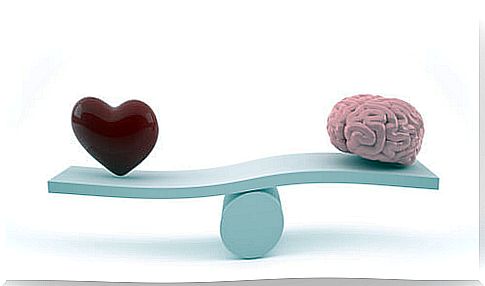 Knowing how to differentiate the brain and the heart