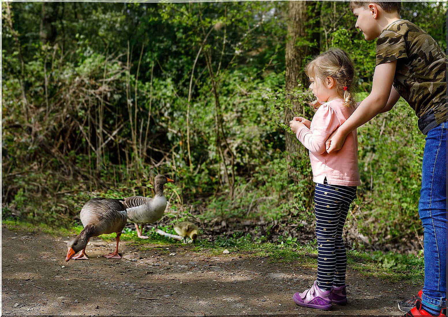 my son is afraid of birds