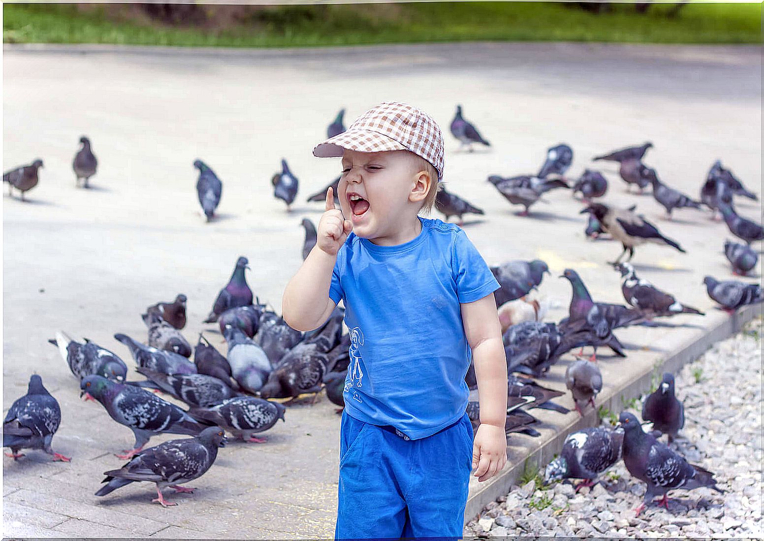 my son is afraid of birds