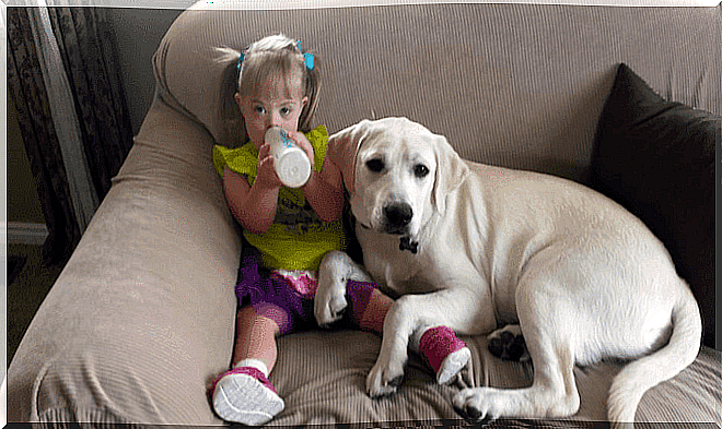 Sadie's story: the girl with Down syndrome and her guardian dog