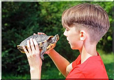 The effects of the turtle technique on self-esteem