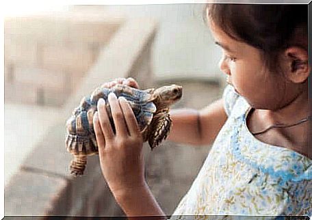 Girl looking at a turtle to understand the turtle technique